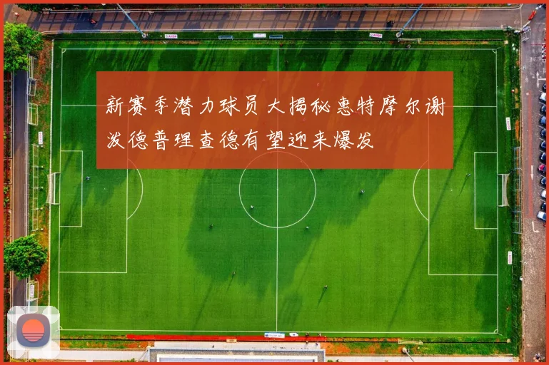 新赛季潜力球员大揭秘惠特摩尔谢泼德普理查德有望迎来爆发
