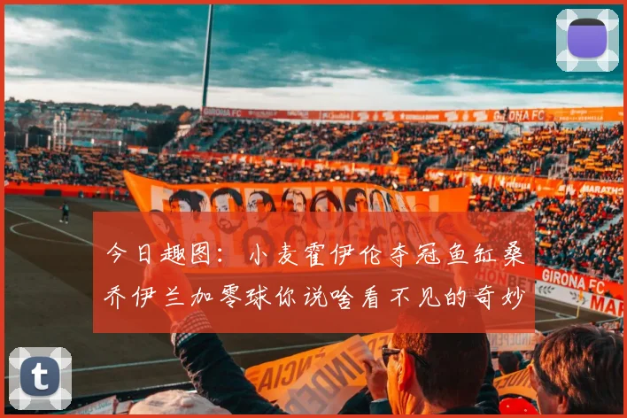 今日趣图：小麦霍伊伦夺冠鱼缸桑乔伊兰加零球你说啥看不见的奇妙瞬间
