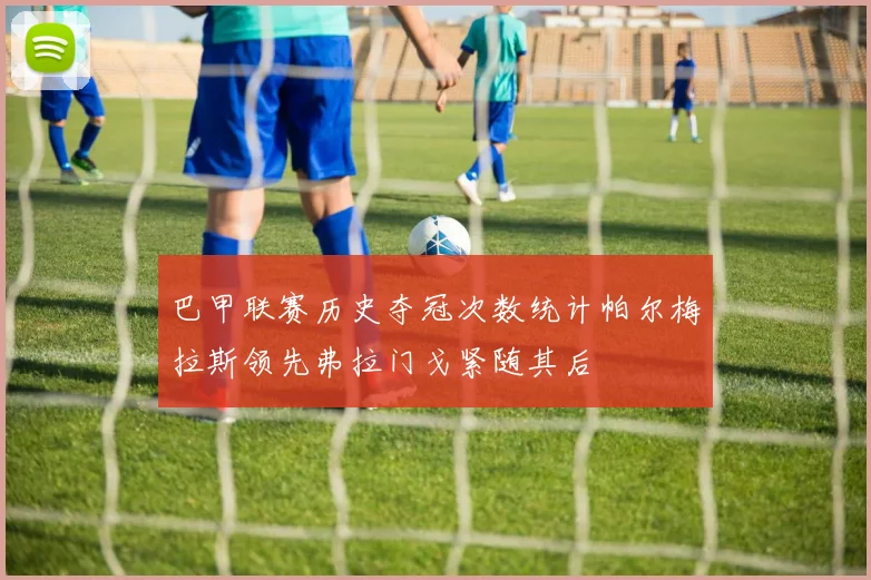 巴甲联赛历史夺冠次数统计帕尔梅拉斯领先弗拉门戈紧随其后